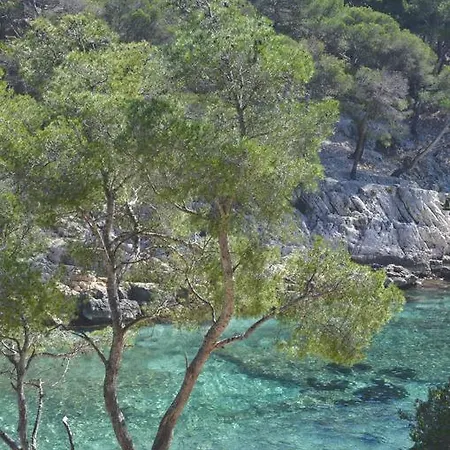 Paradise 1