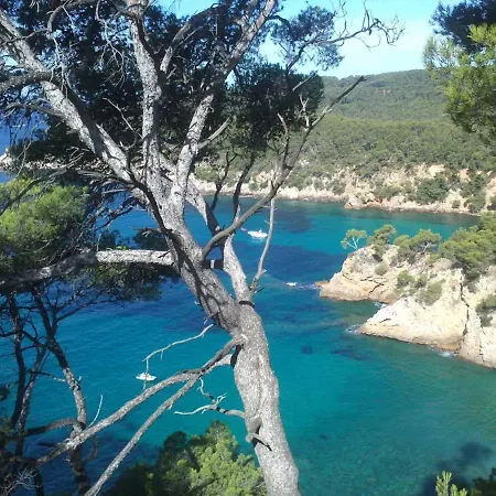 Paradise 1